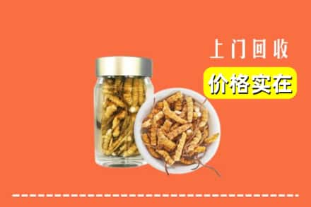 收购资讯:铜仁市万山回收散虫草