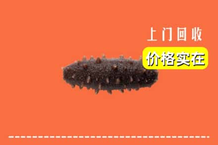 收购资讯:铜仁市万山回收海参